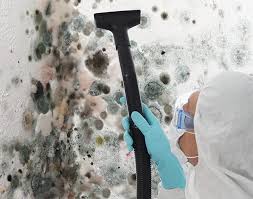 Best Mold Prevention Services in Rosemont, PA